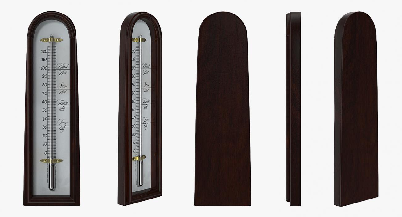 Antique Thermometer 3D model