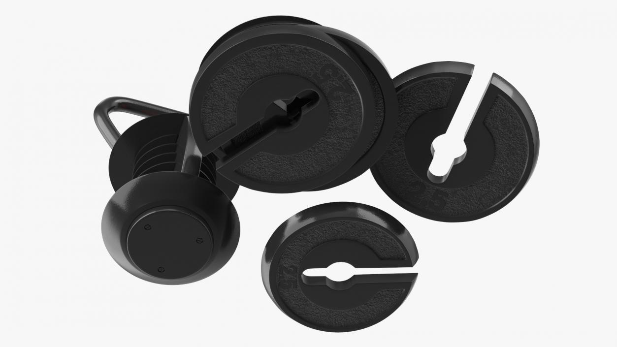 3D Kettlebell with Disks 2 model