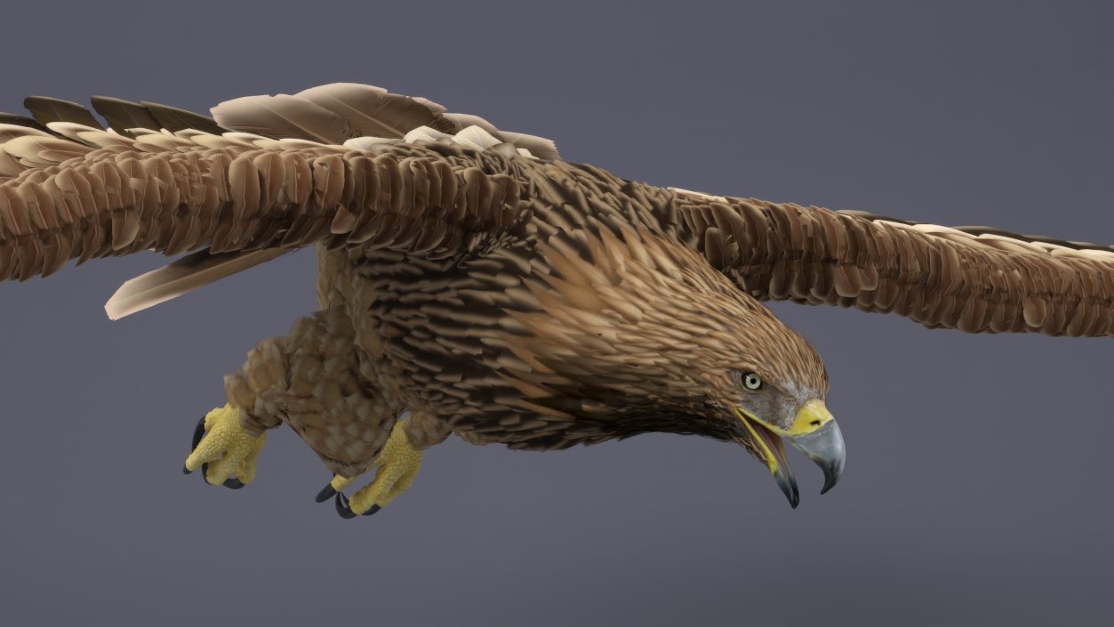 3D Imperial Eagle Flying