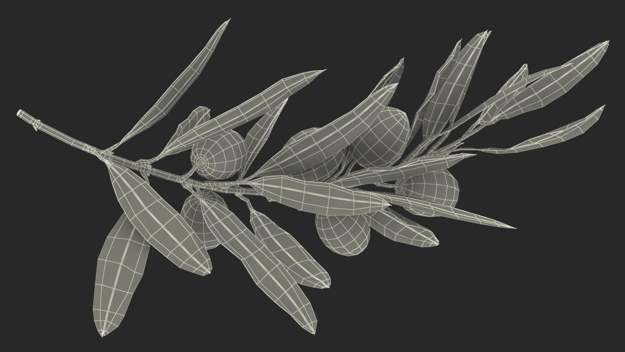 3D model Olive Branch with Black Olives