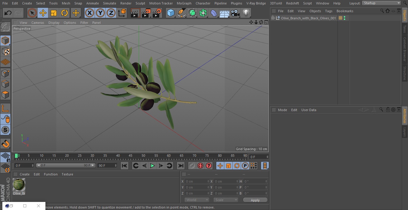 3D model Olive Branch with Black Olives