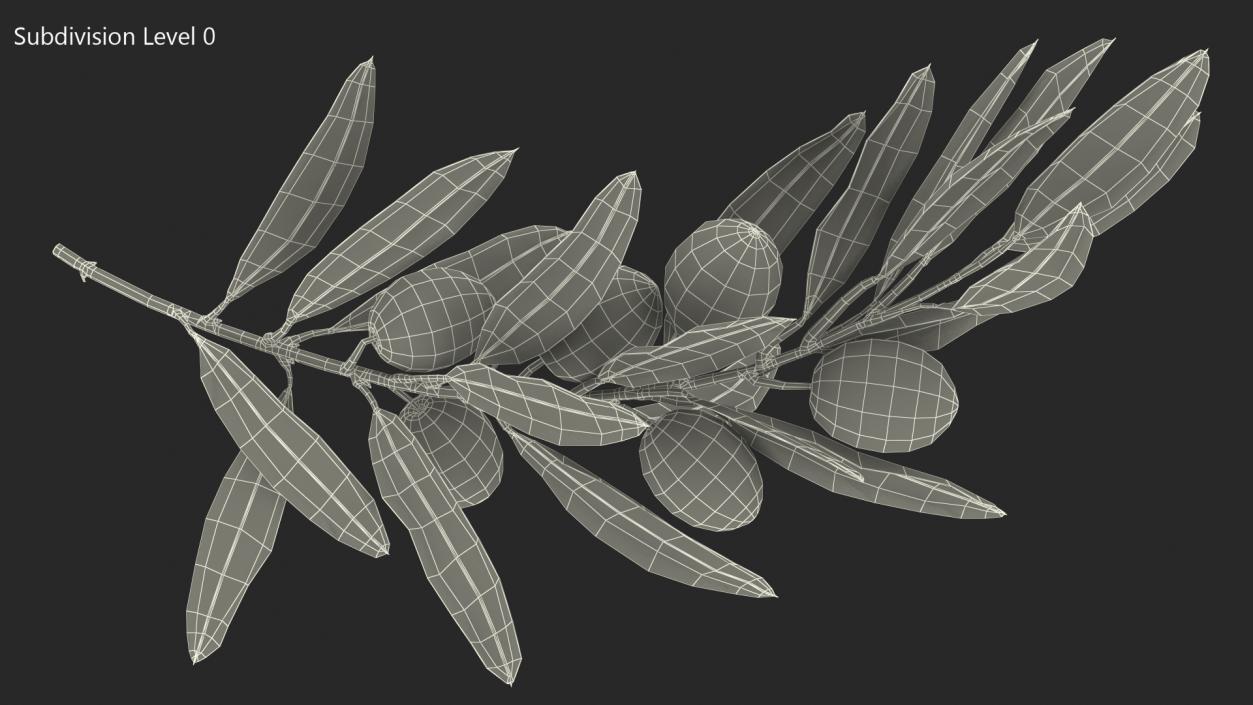 3D model Olive Branch with Black Olives