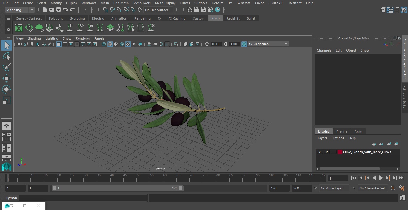 3D model Olive Branch with Black Olives