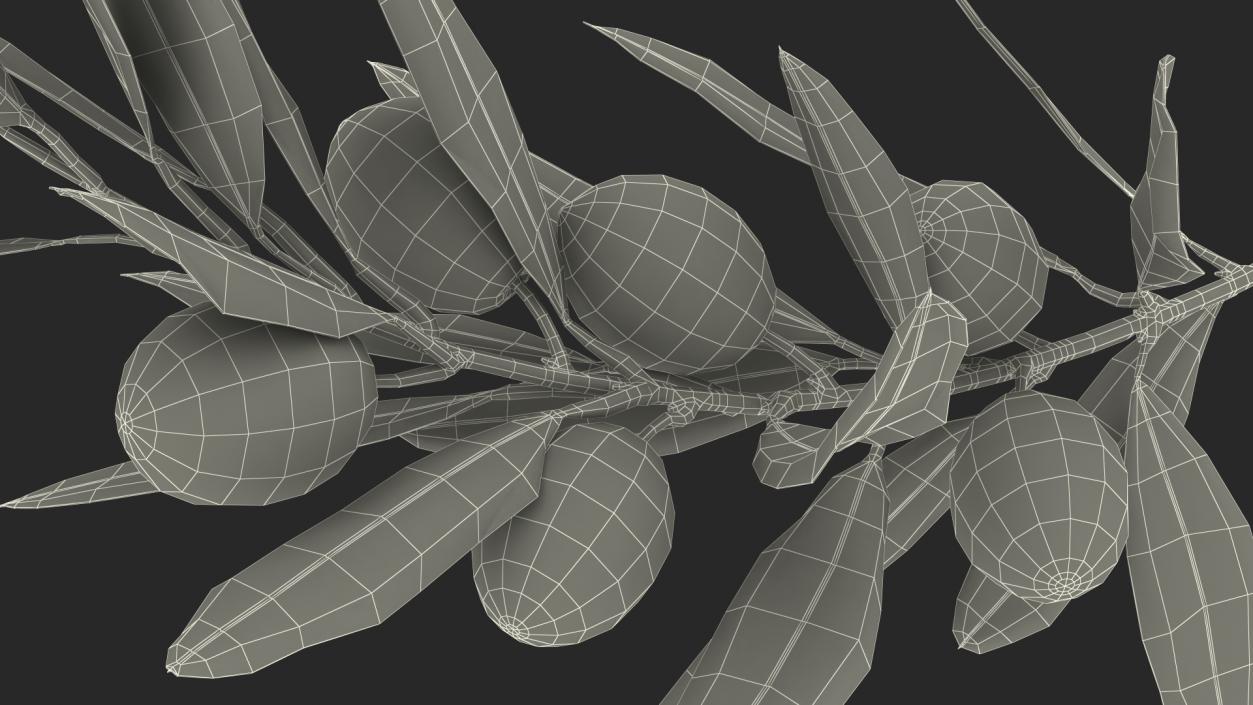 3D model Olive Branch with Black Olives