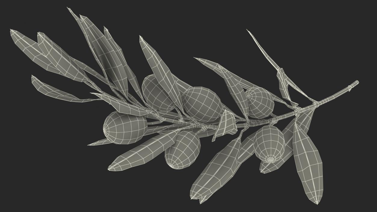 3D model Olive Branch with Black Olives