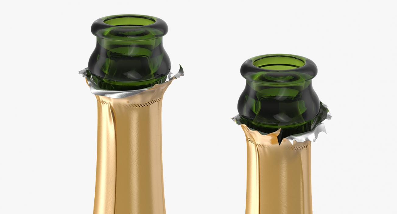 3D Champagne Bottle Krug Opened model