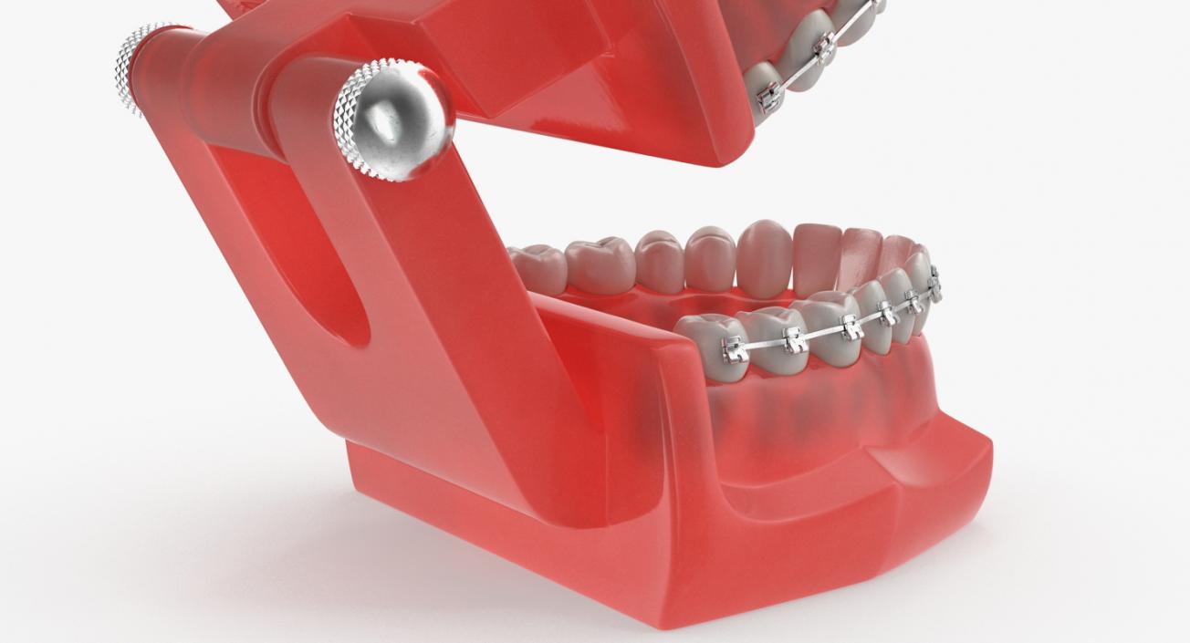 Dental Collection 2 3D model