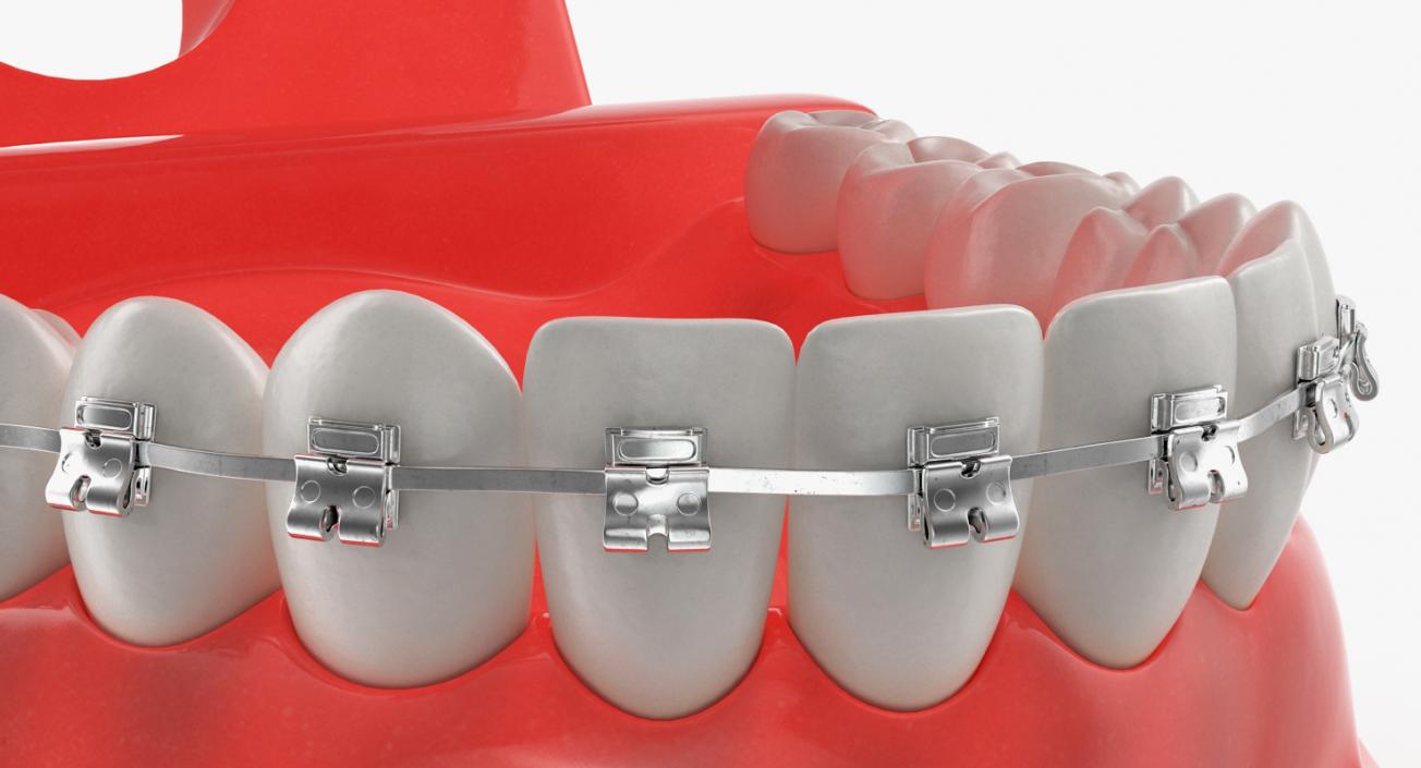 Dental Collection 2 3D model