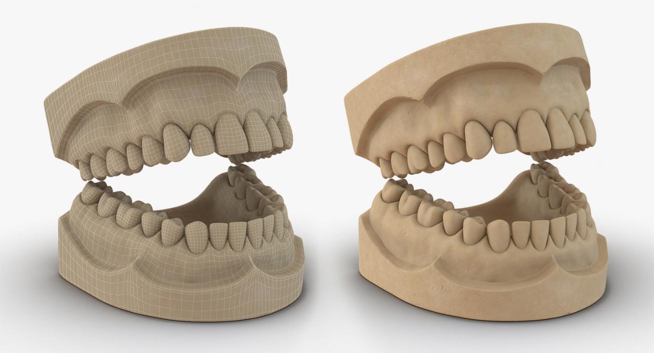 Dental Collection 2 3D model