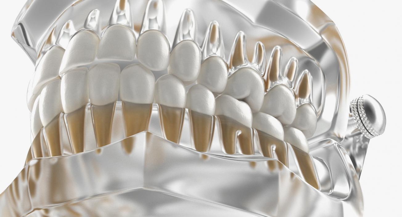 Dental Collection 2 3D model