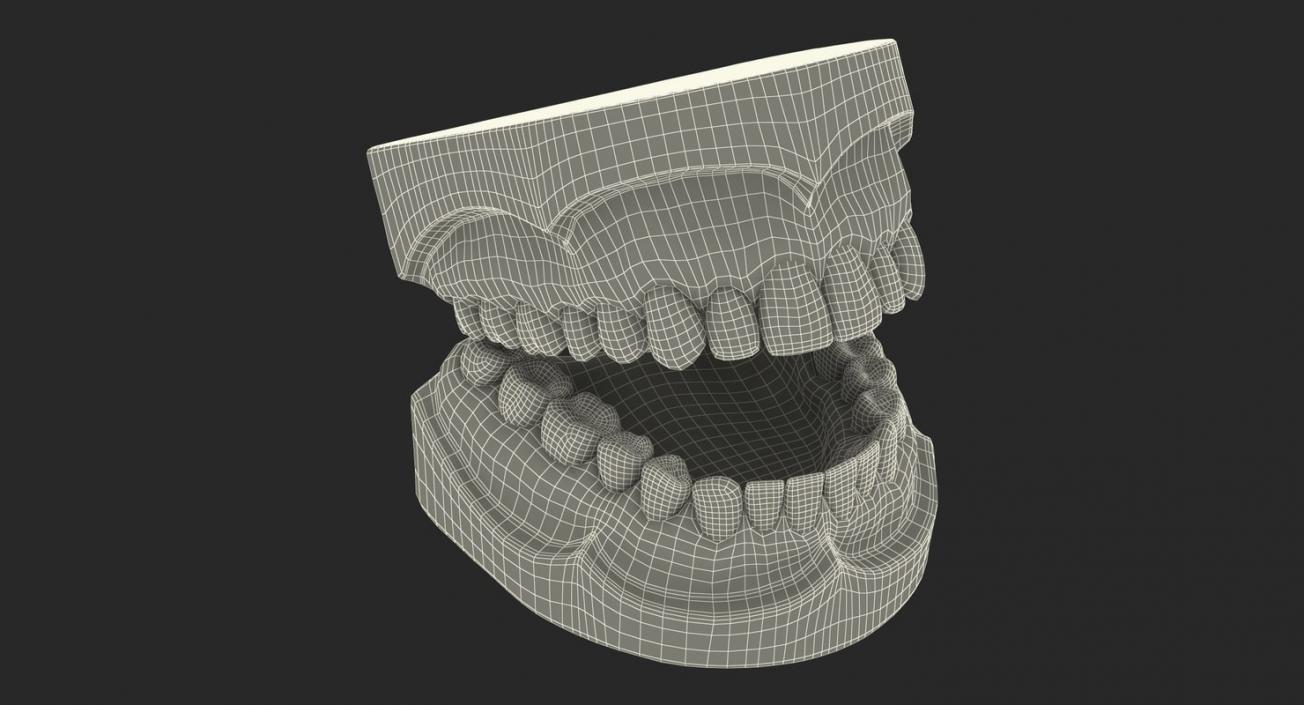 Dental Collection 2 3D model