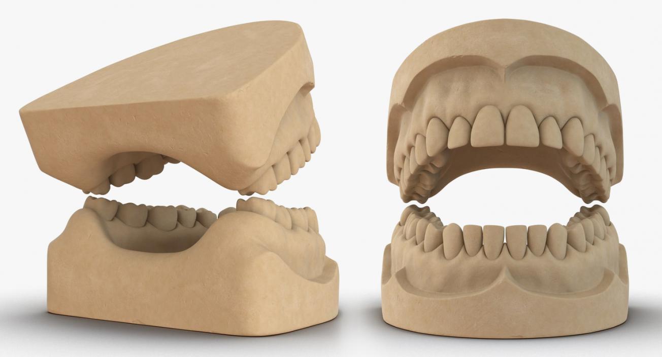 Dental Collection 2 3D model