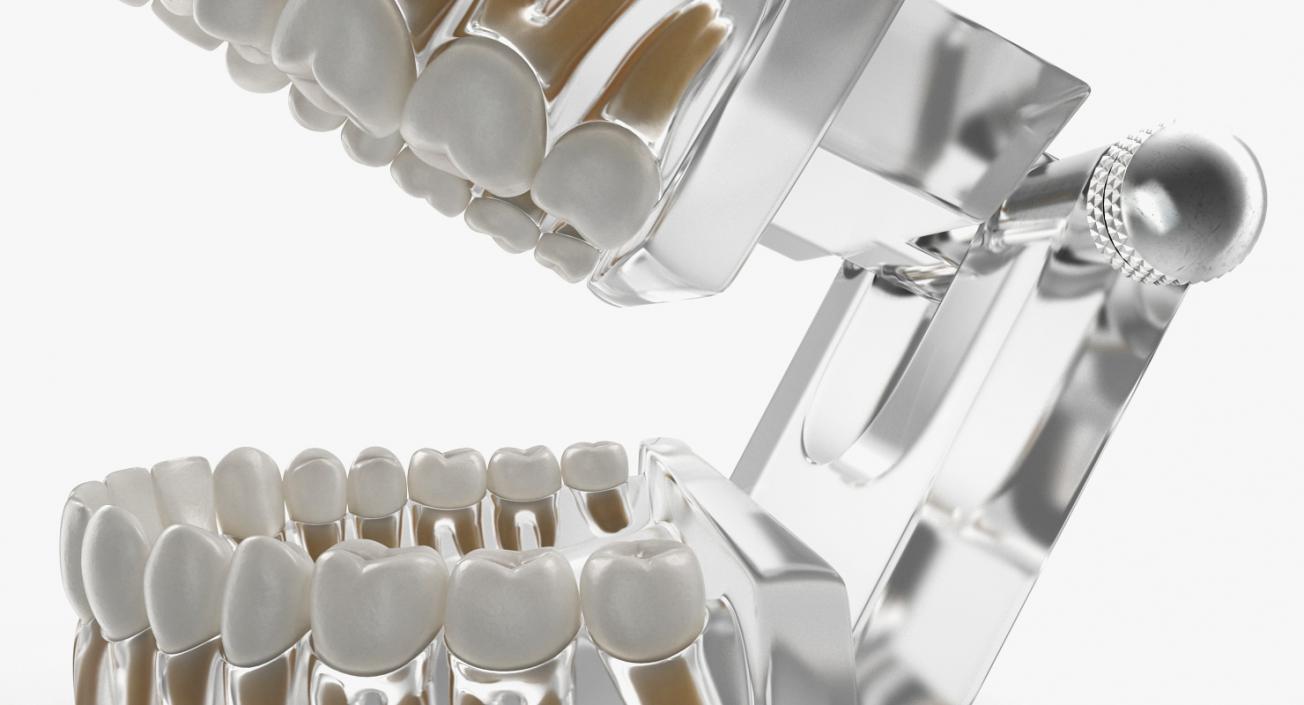 Dental Collection 2 3D model