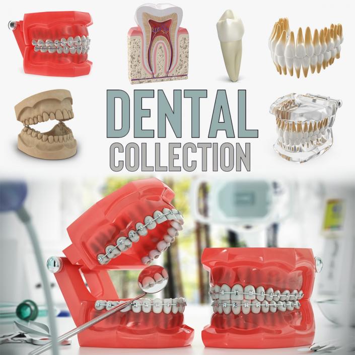 Dental Collection 2 3D model