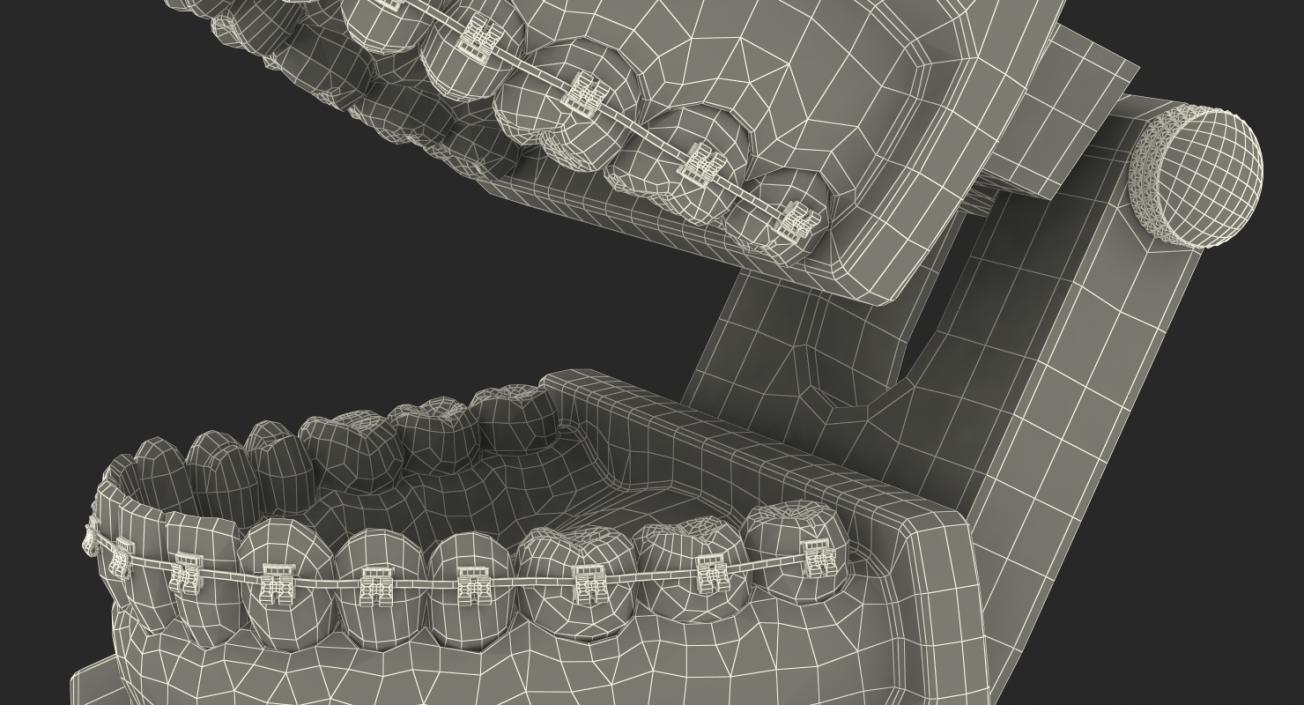 Dental Collection 2 3D model