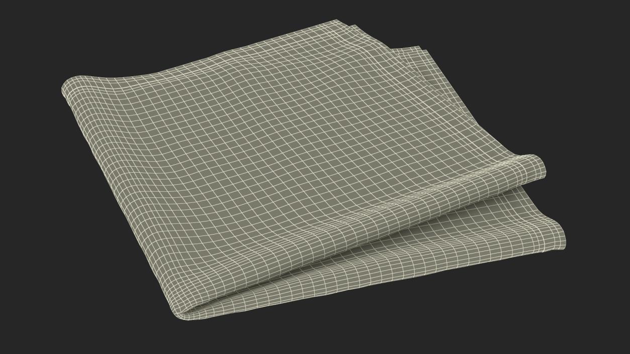 3D model Folded Fabric Napkin