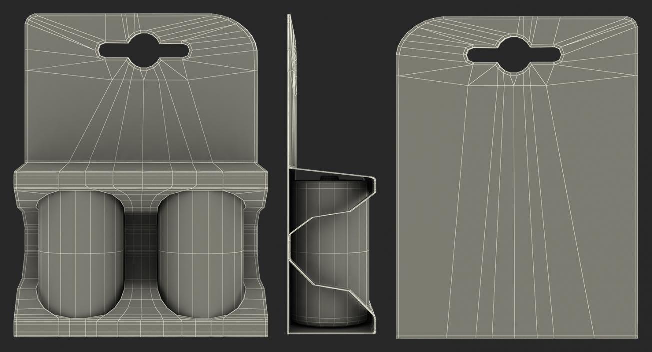 3D model LR20 Battery Package