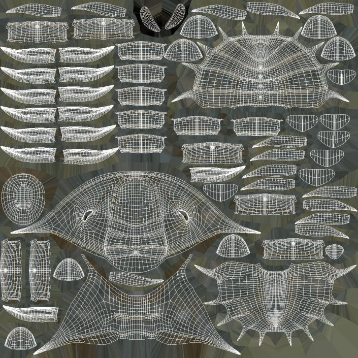 Trilobite Extinct Marine Arachnomorph Arthropod Rigged 3D model