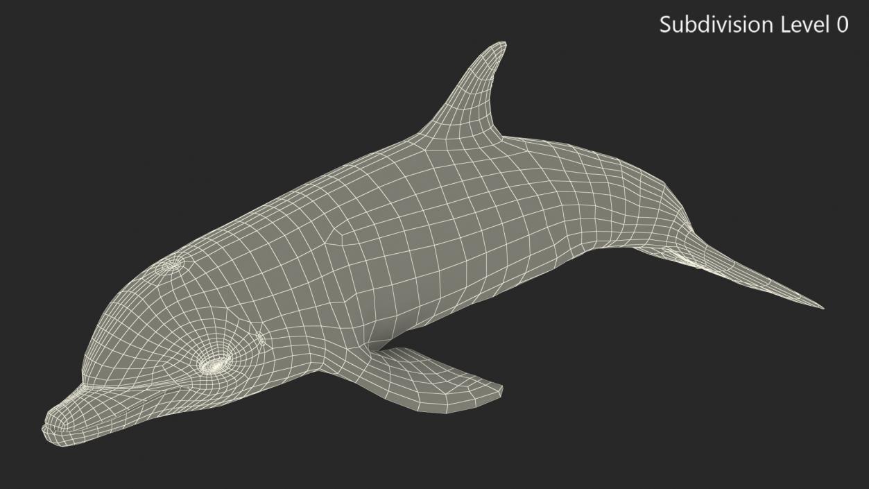 3D model Dolphin Swimming Animated