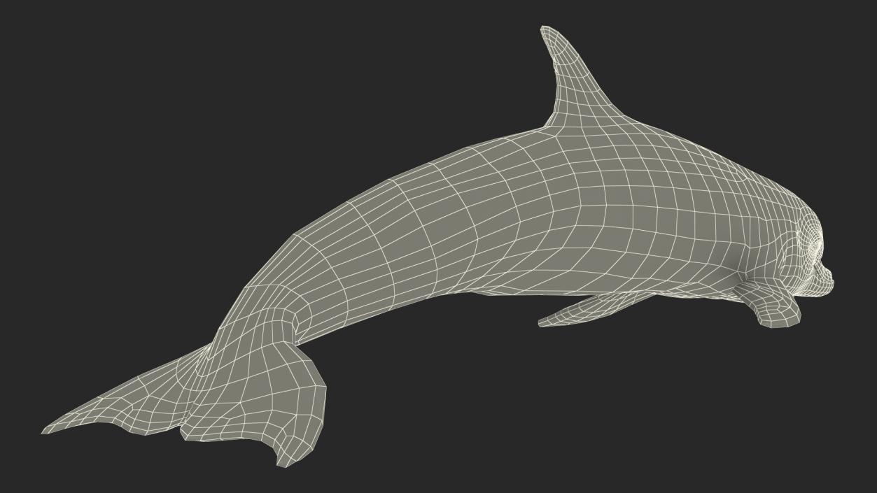 3D model Dolphin Swimming Animated