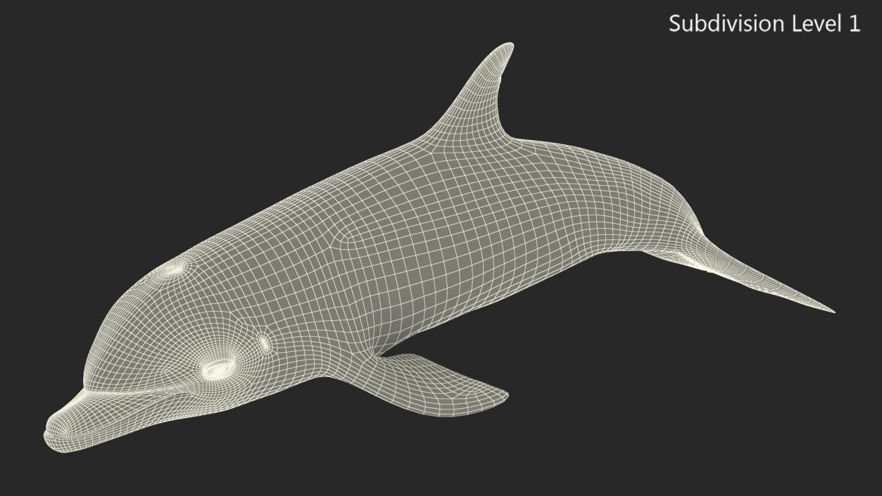 3D model Dolphin Swimming Animated