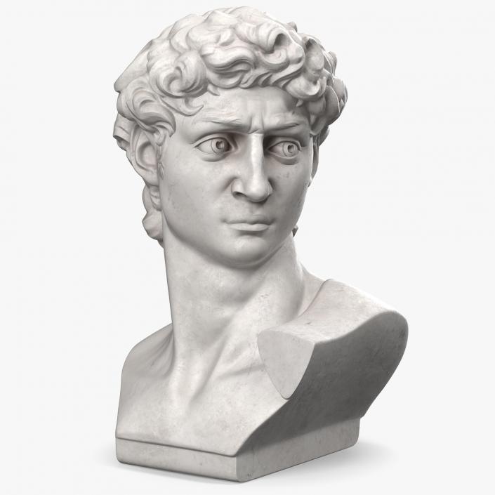 Bust of David by Michelangelo 3D model