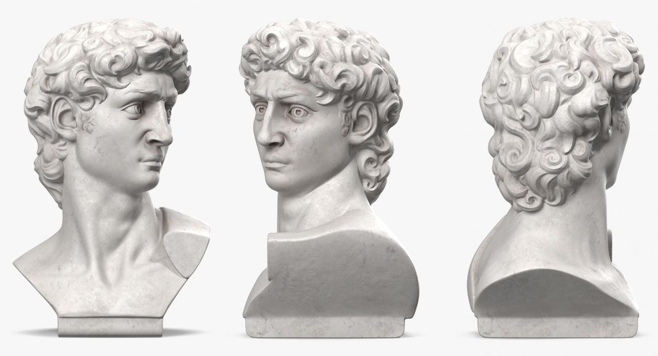 Bust of David by Michelangelo 3D model