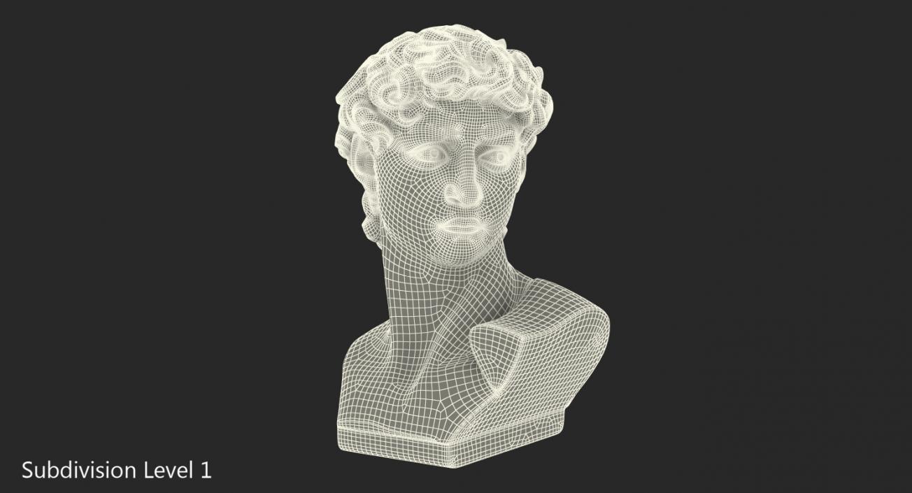 Bust of David by Michelangelo 3D model