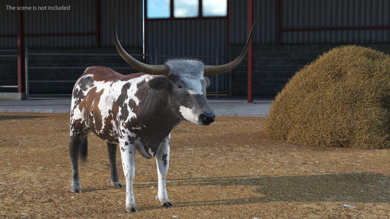 Texas Longhorn Mottled Brown Fur 3D