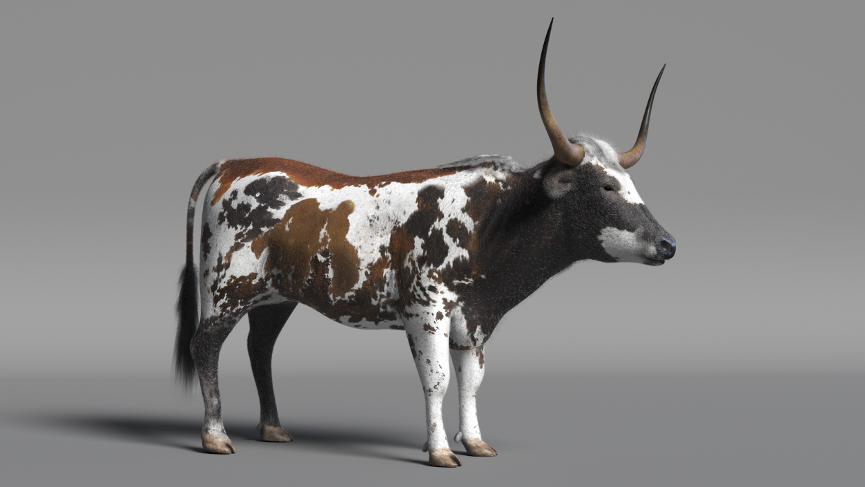 Texas Longhorn Mottled Brown Fur 3D