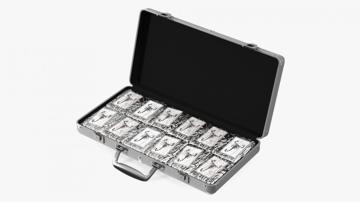 Cocaine Bricks in Briefcase 3D