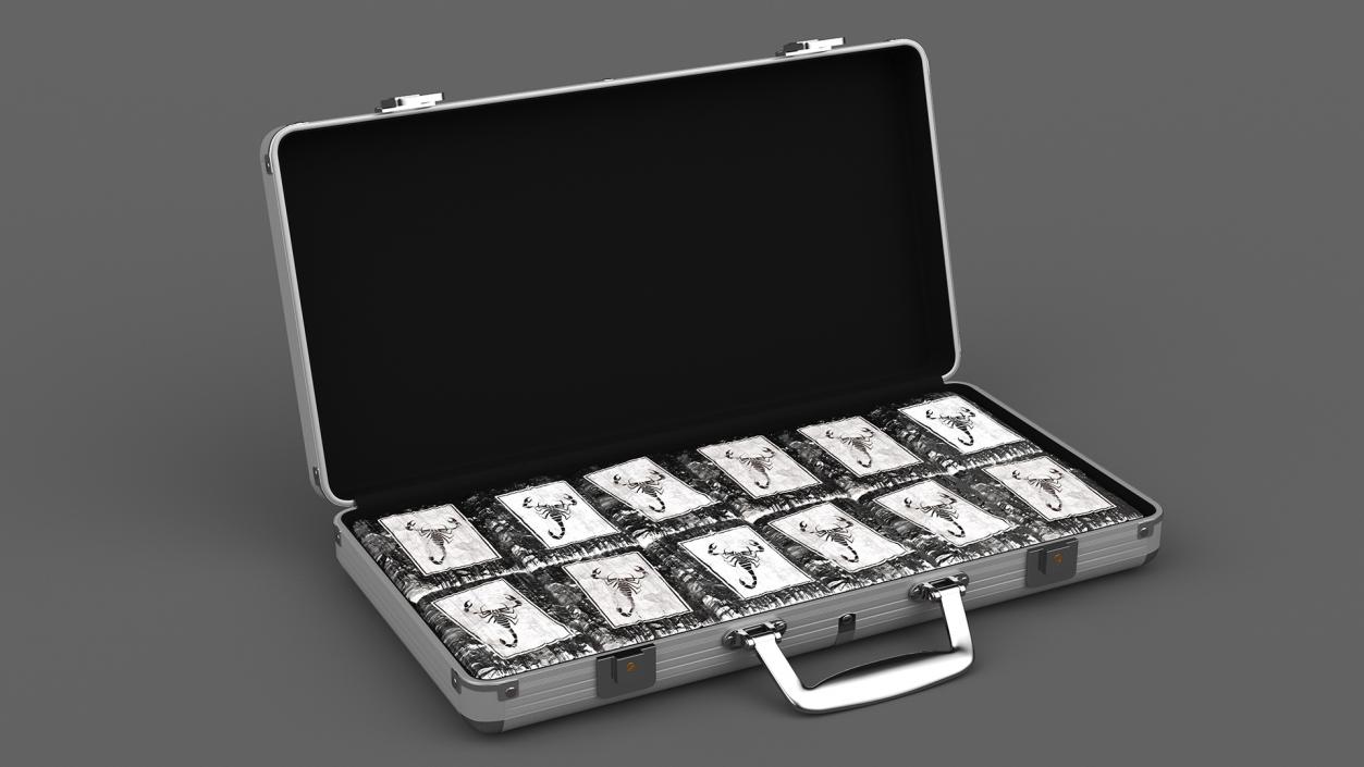 Cocaine Bricks in Briefcase 3D