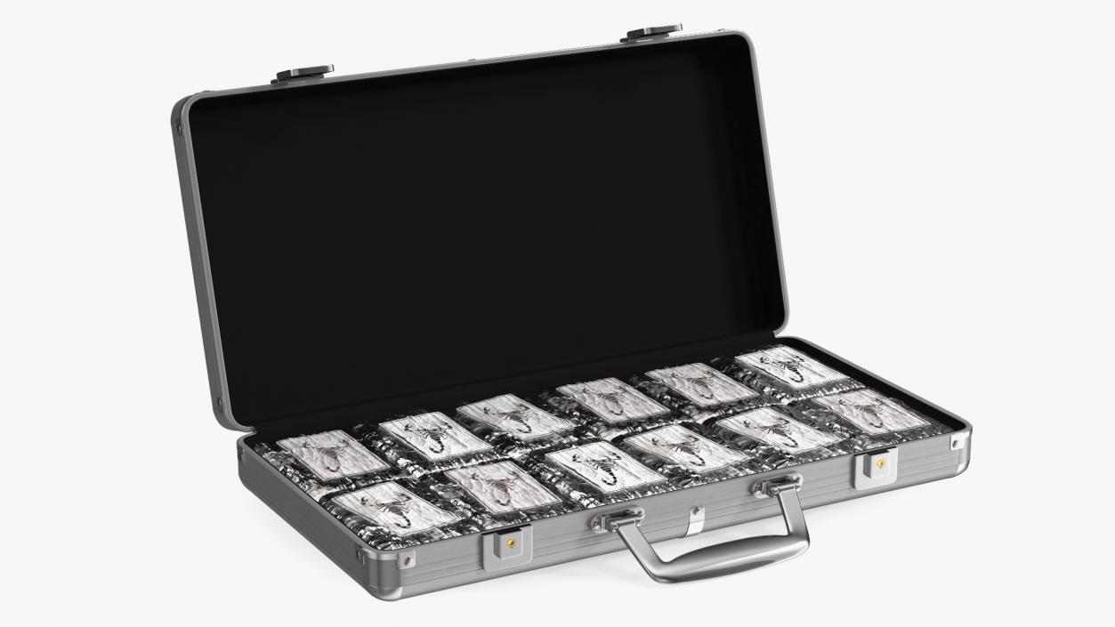 Cocaine Bricks in Briefcase 3D