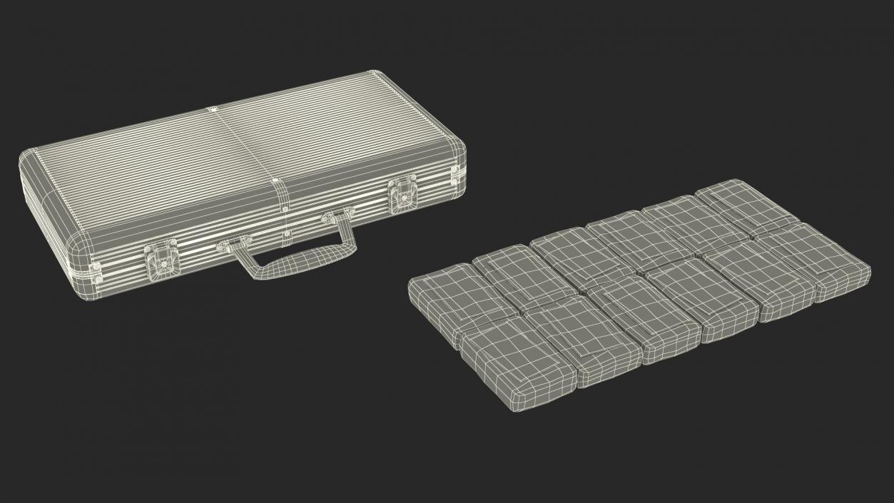 Cocaine Bricks in Briefcase 3D