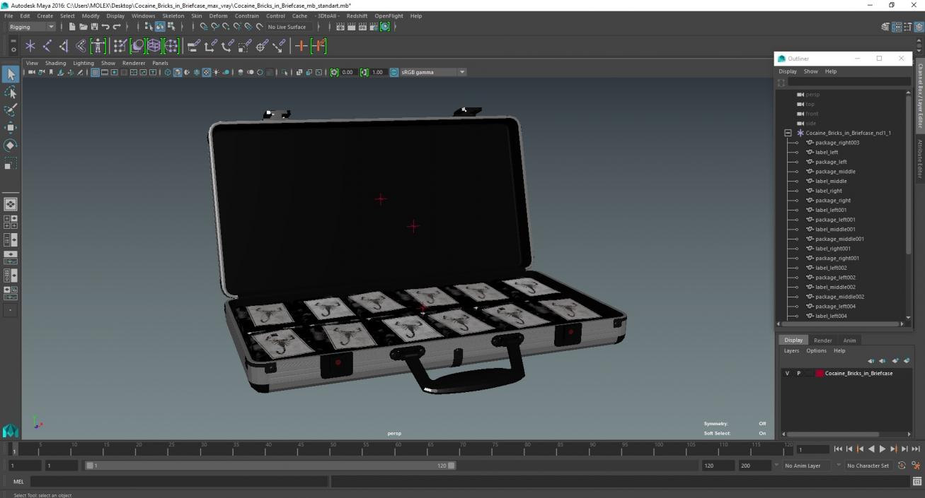 Cocaine Bricks in Briefcase 3D