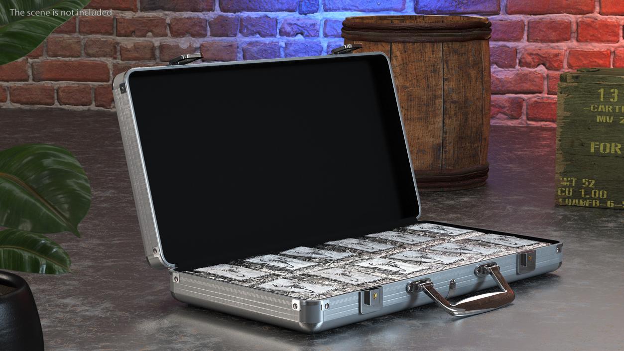 Cocaine Bricks in Briefcase 3D