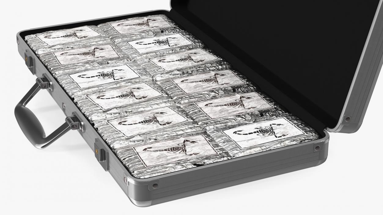 Cocaine Bricks in Briefcase 3D