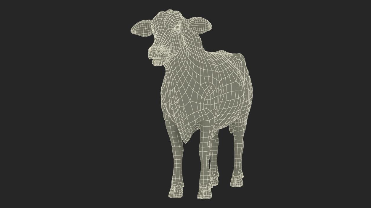 3D Nelore Cow Female Fur Rigged model