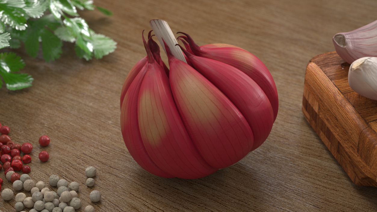 3D Head of Garlic Red model