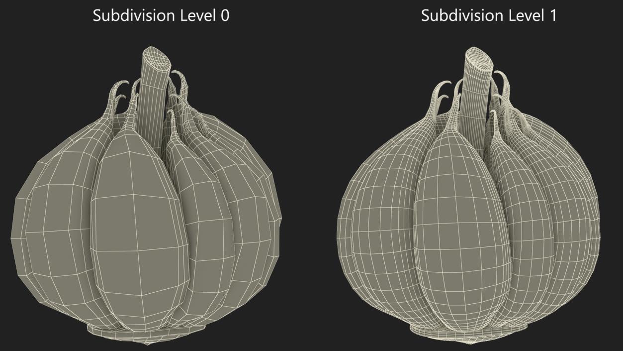 3D Head of Garlic Red model