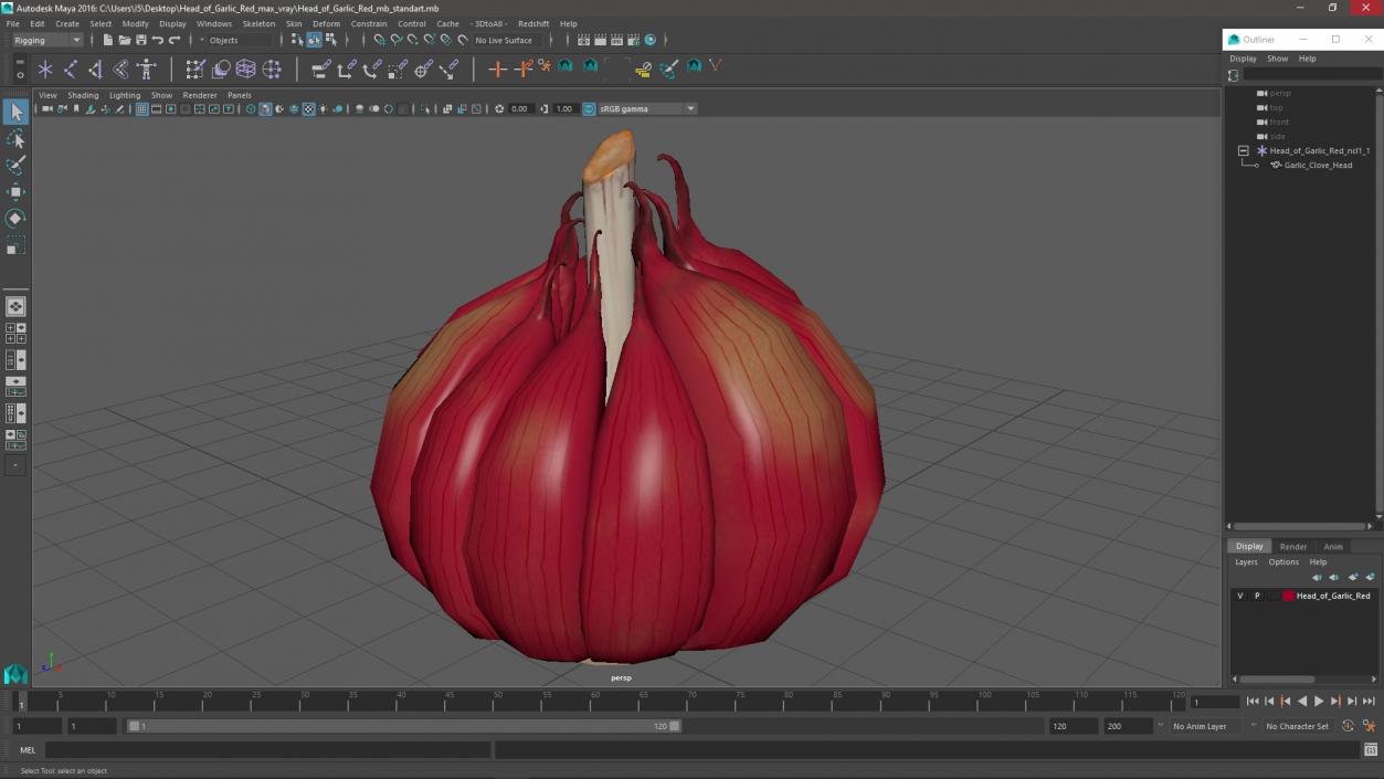 3D Head of Garlic Red model