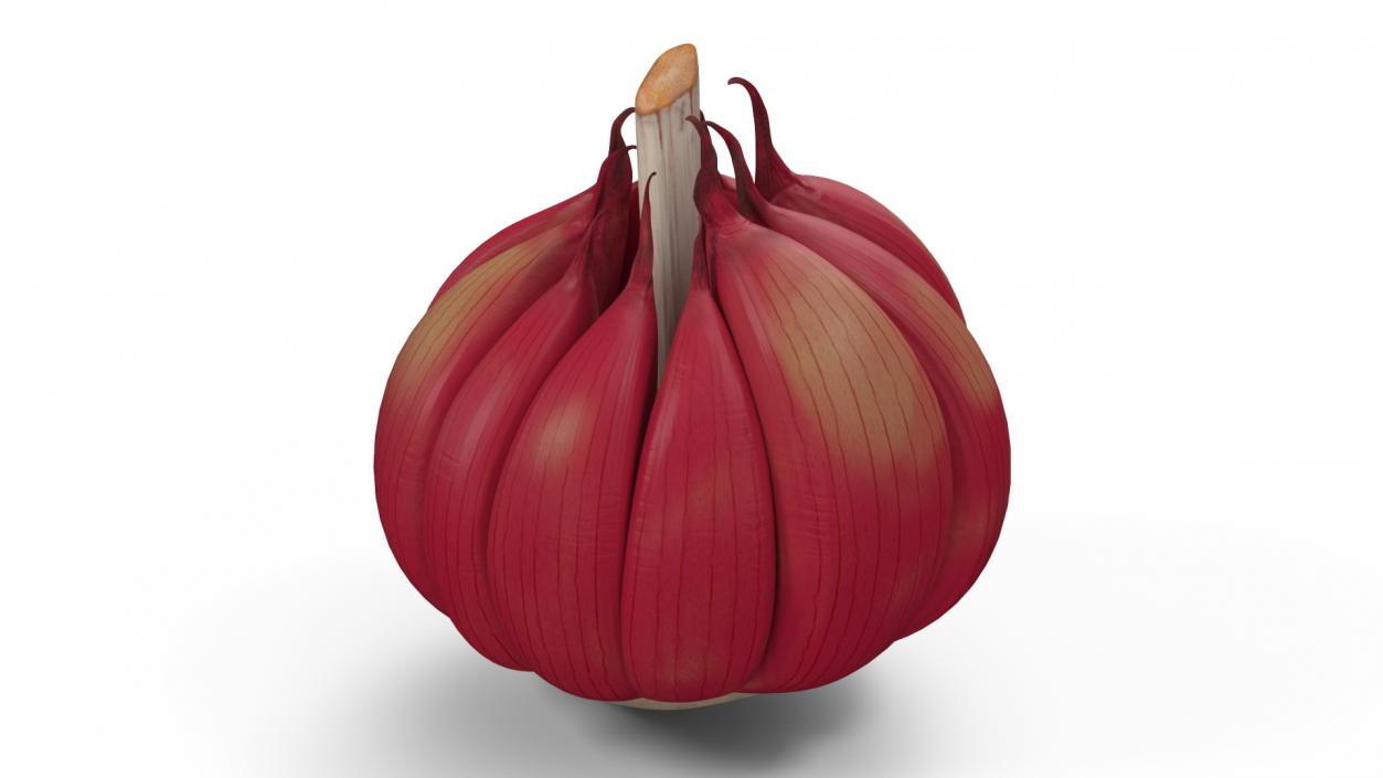 3D Head of Garlic Red model