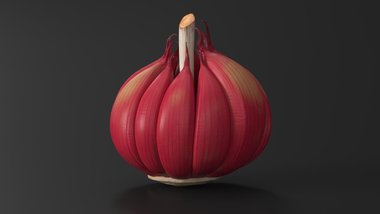 3D Head of Garlic Red model