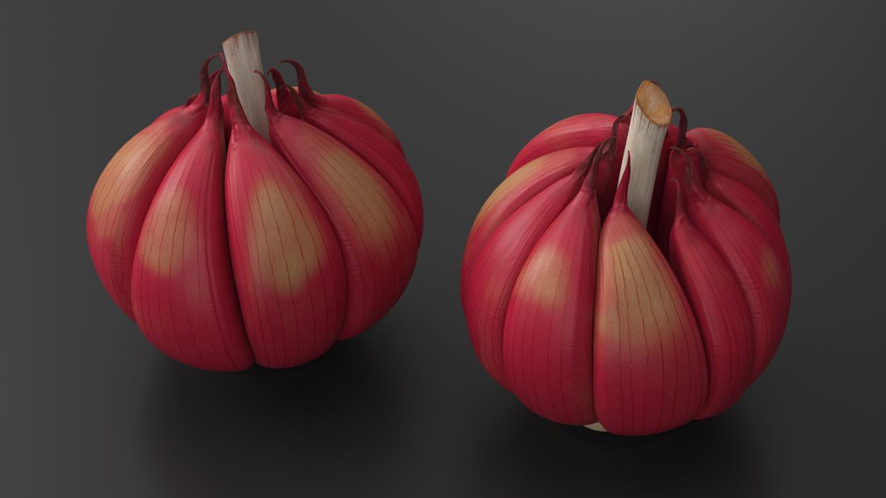 3D Head of Garlic Red model