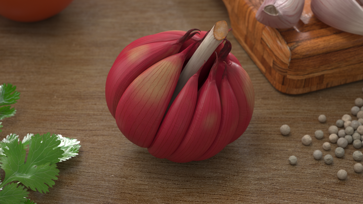 3D Head of Garlic Red model