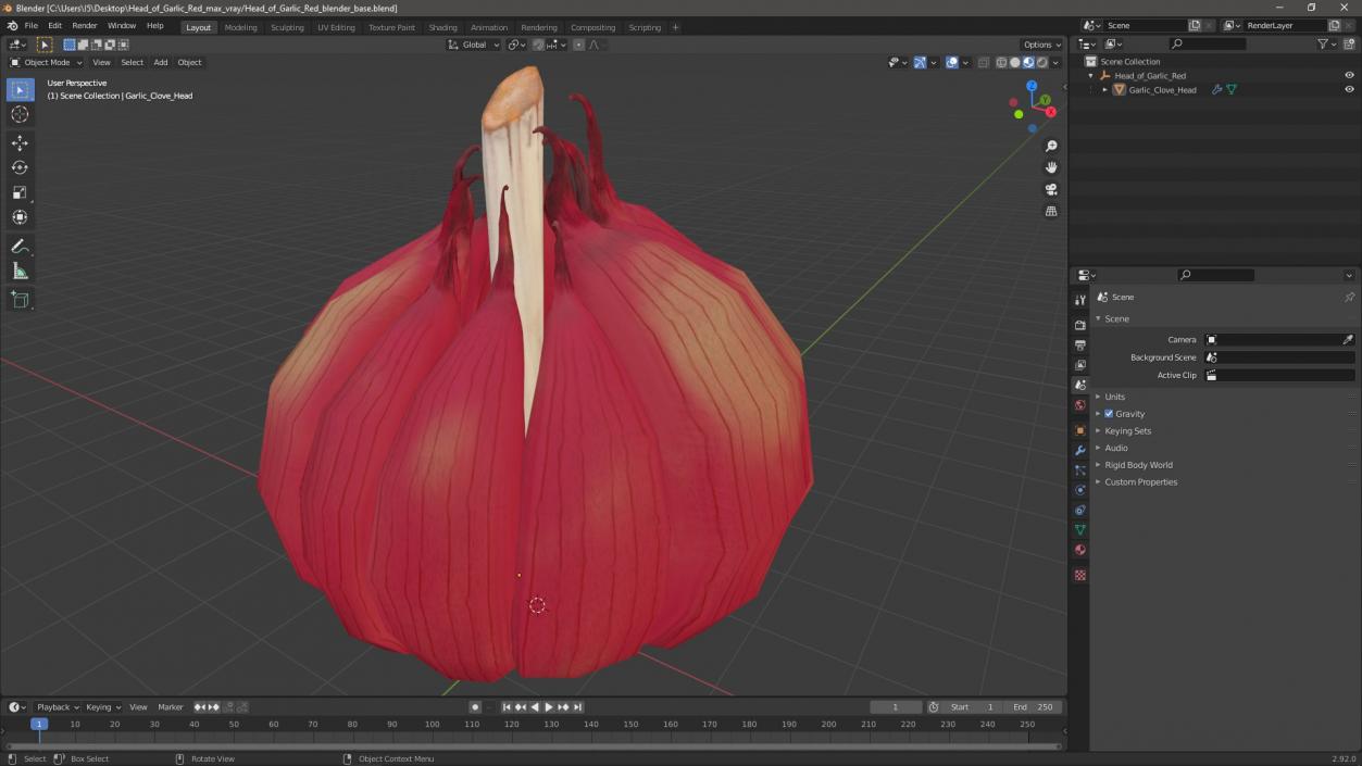 3D Head of Garlic Red model