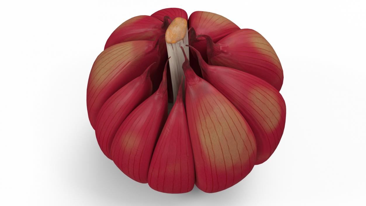 3D Head of Garlic Red model