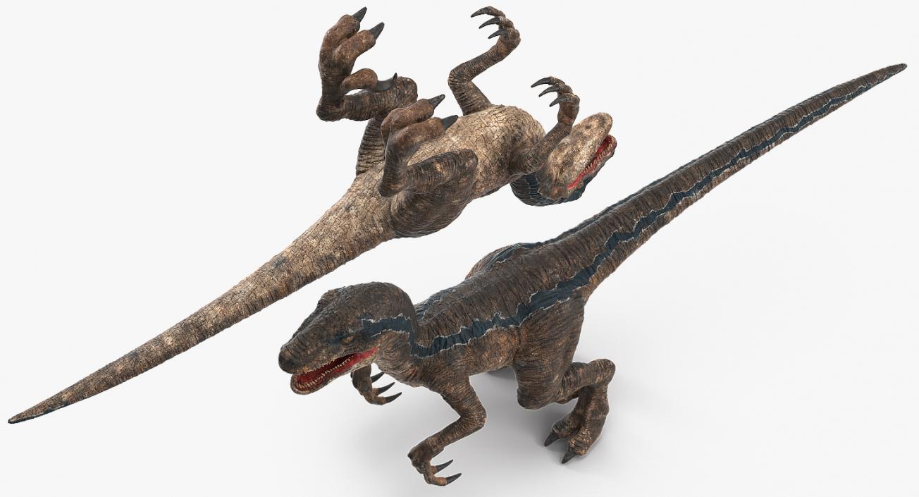 Velociraptor Rigged 3D model