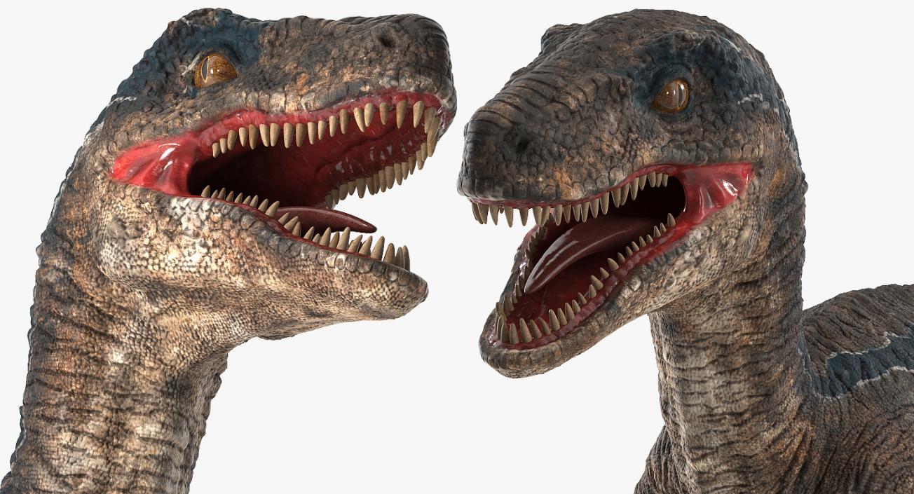 Velociraptor Rigged 3D model