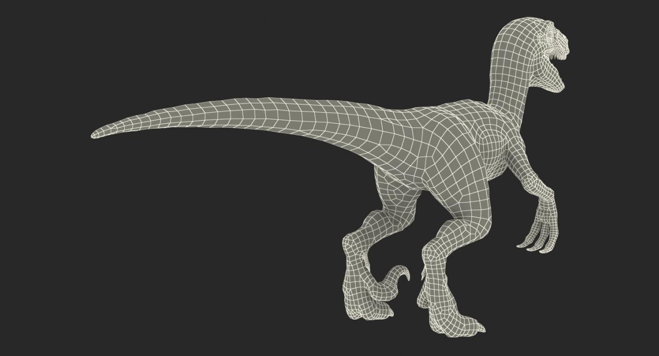 Velociraptor Rigged 3D model